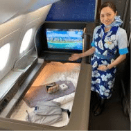 ANA first class interior ANA first class interior